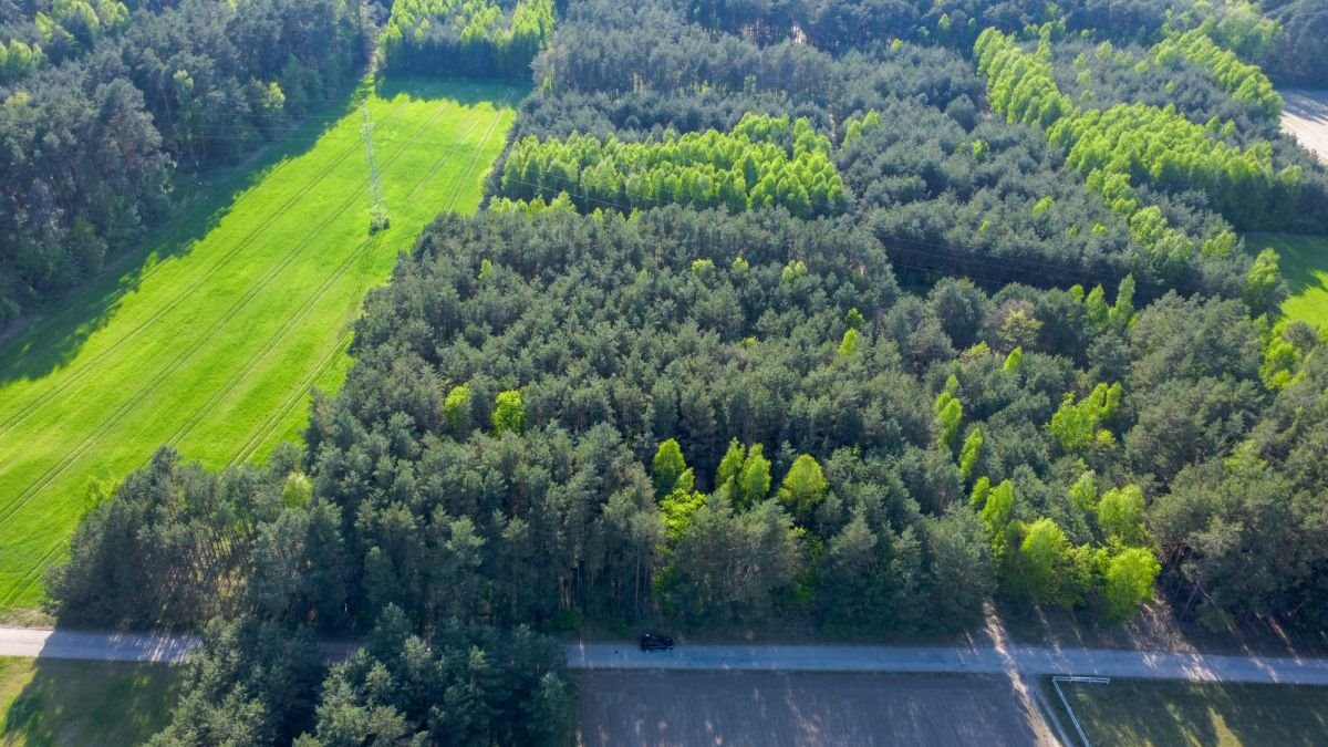 Działka rekreacyjna na sprzedaż Nowe Bosewo, Lipnik  1 245m2 Foto 10