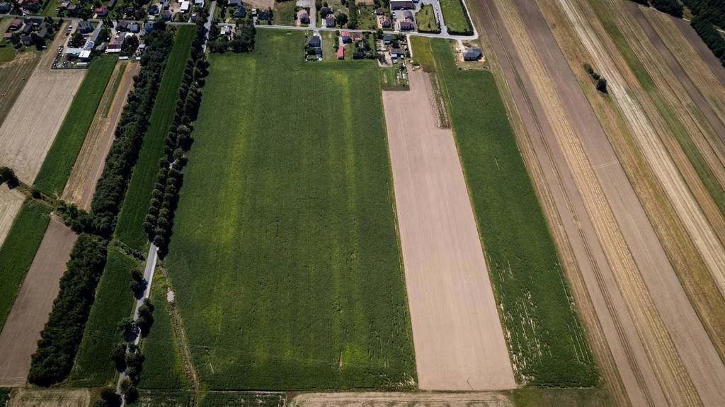 Działka inwestycyjna na sprzedaż Bagatelka  150 000m2 Foto 5