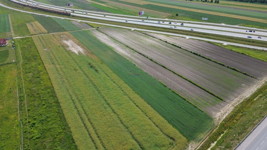 Działka komercyjna na sprzedaż Lesznowola, Nowa Wola  10 792m2 Foto 3