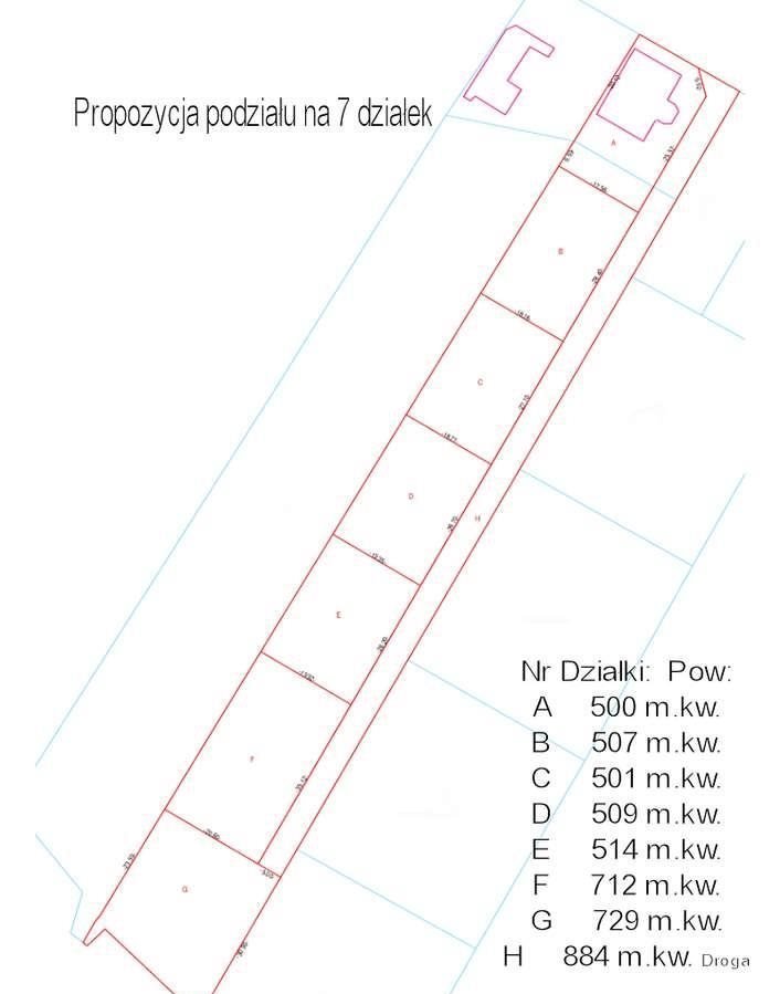 Zdjęcie 3