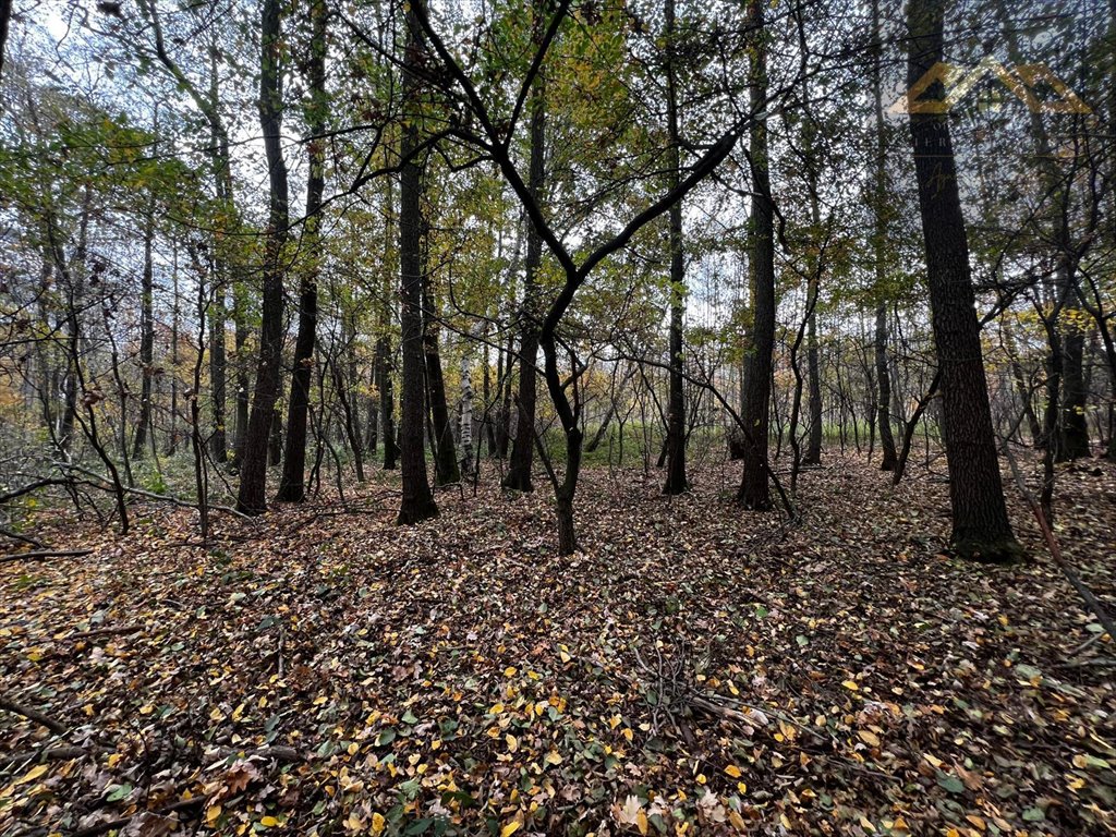 Działka budowlana na sprzedaż Biadoliny Radłowskie  6 800m2 Foto 7