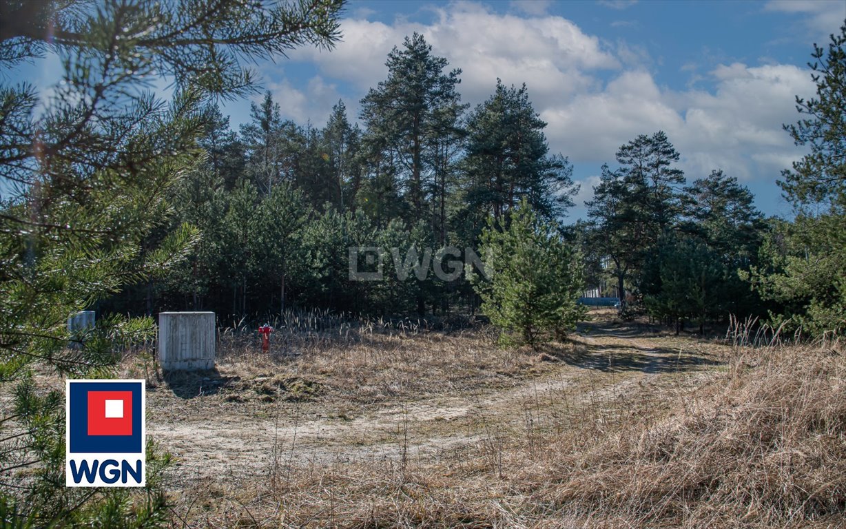 Działka budowlana na sprzedaż Przejęsław, Centrum  1 636m2 Foto 1