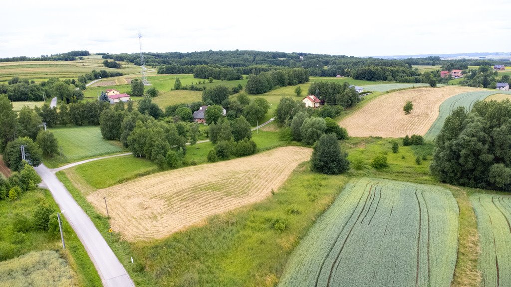 Działka budowlana na sprzedaż Niechobrz  18 300m2 Foto 11