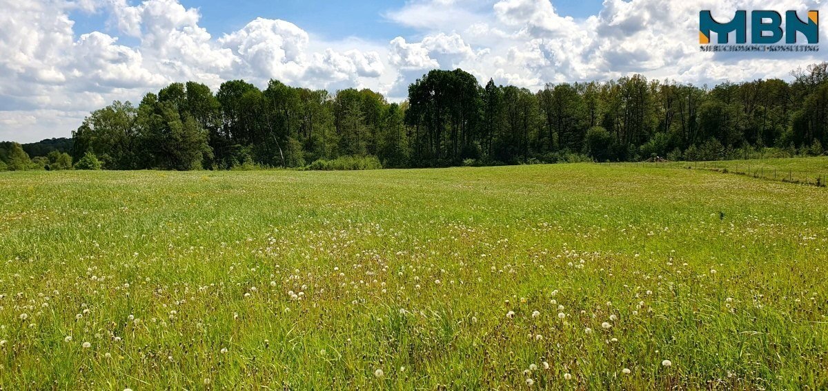 Działka inwestycyjna na sprzedaż Doba, Doba  35 031m2 Foto 8