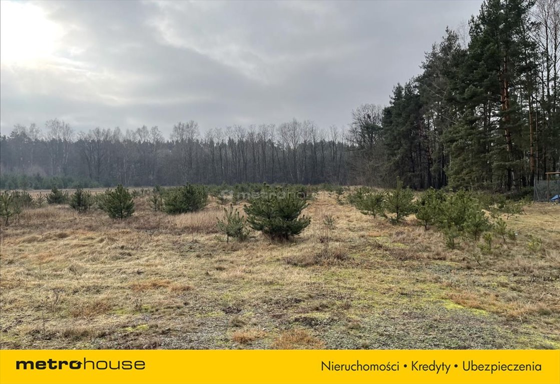 Działka inna na sprzedaż Puszcza Mariańska  1 130m2 Foto 7