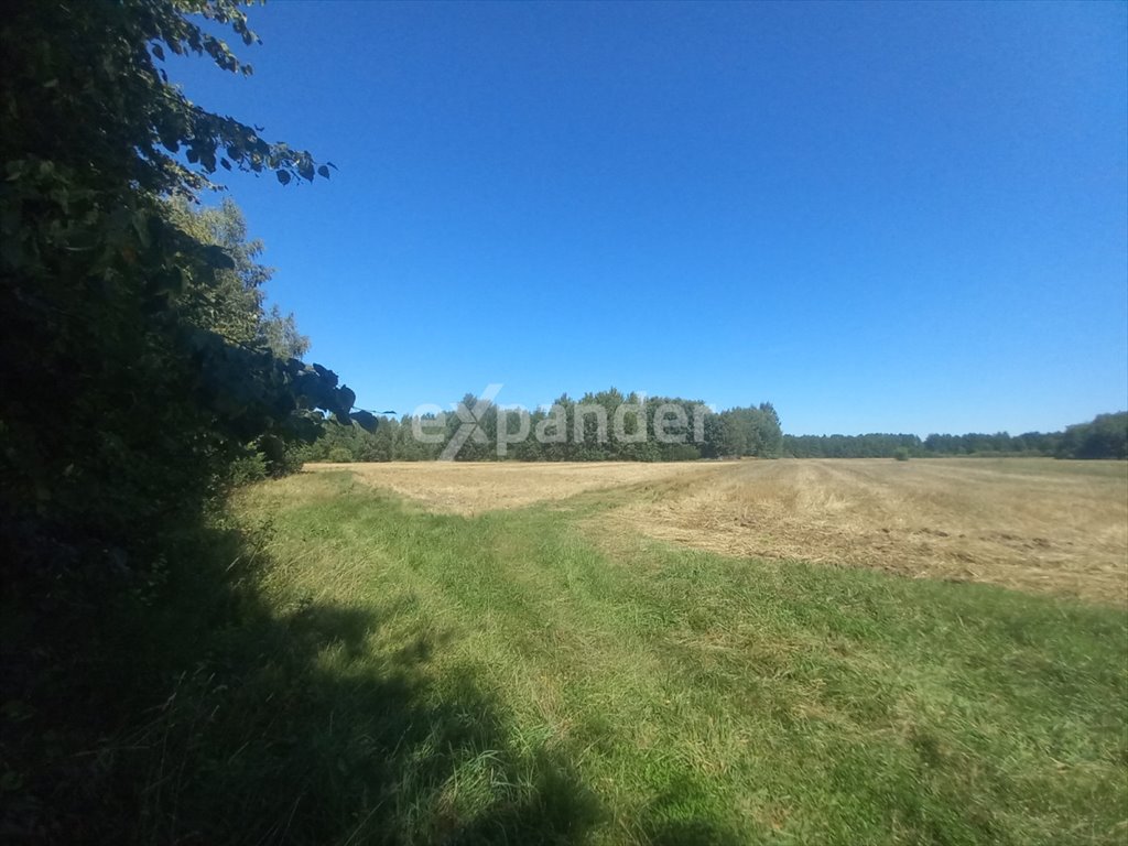 Działka rolna na sprzedaż Blinno  18 200m2 Foto 1