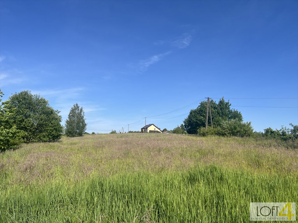 Działka inna na sprzedaż Zabłędza  6 300m2 Foto 1