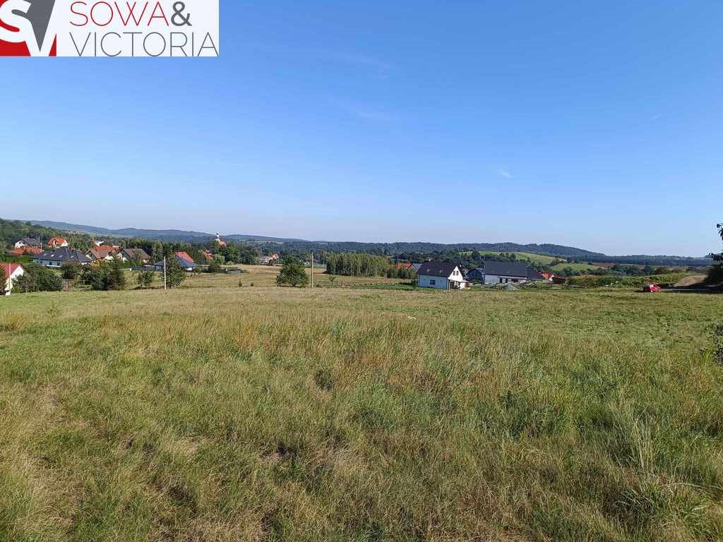 Działka budowlana na sprzedaż Stare Bogaczowice  27 175m2 Foto 5