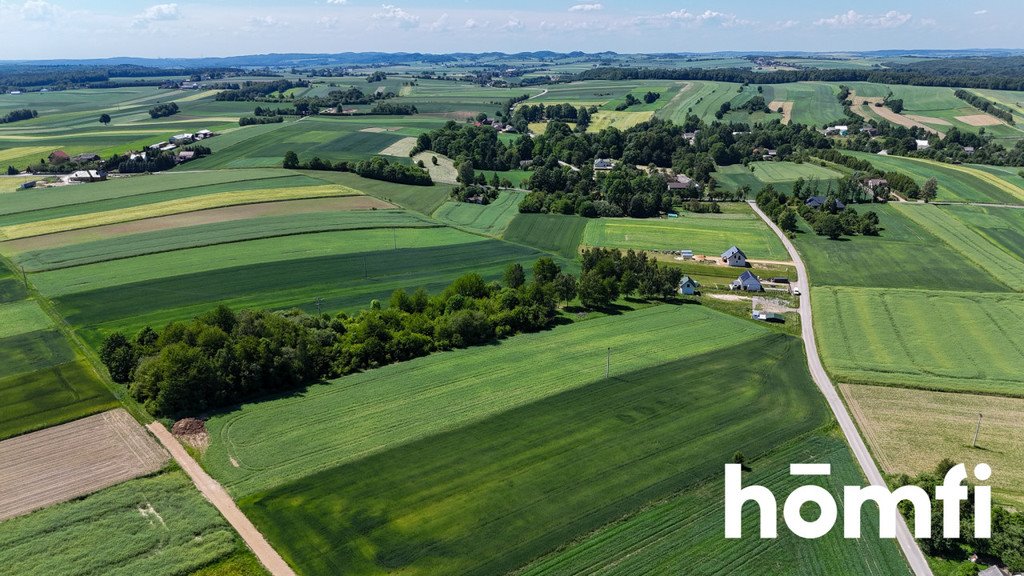 Działka budowlana na sprzedaż Poręba Dzierżna  10 037m2 Foto 6