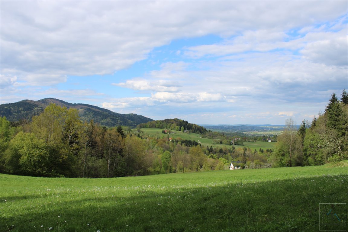 Działka budowlana na sprzedaż Wola Skrzydlańska  3 100m2 Foto 9