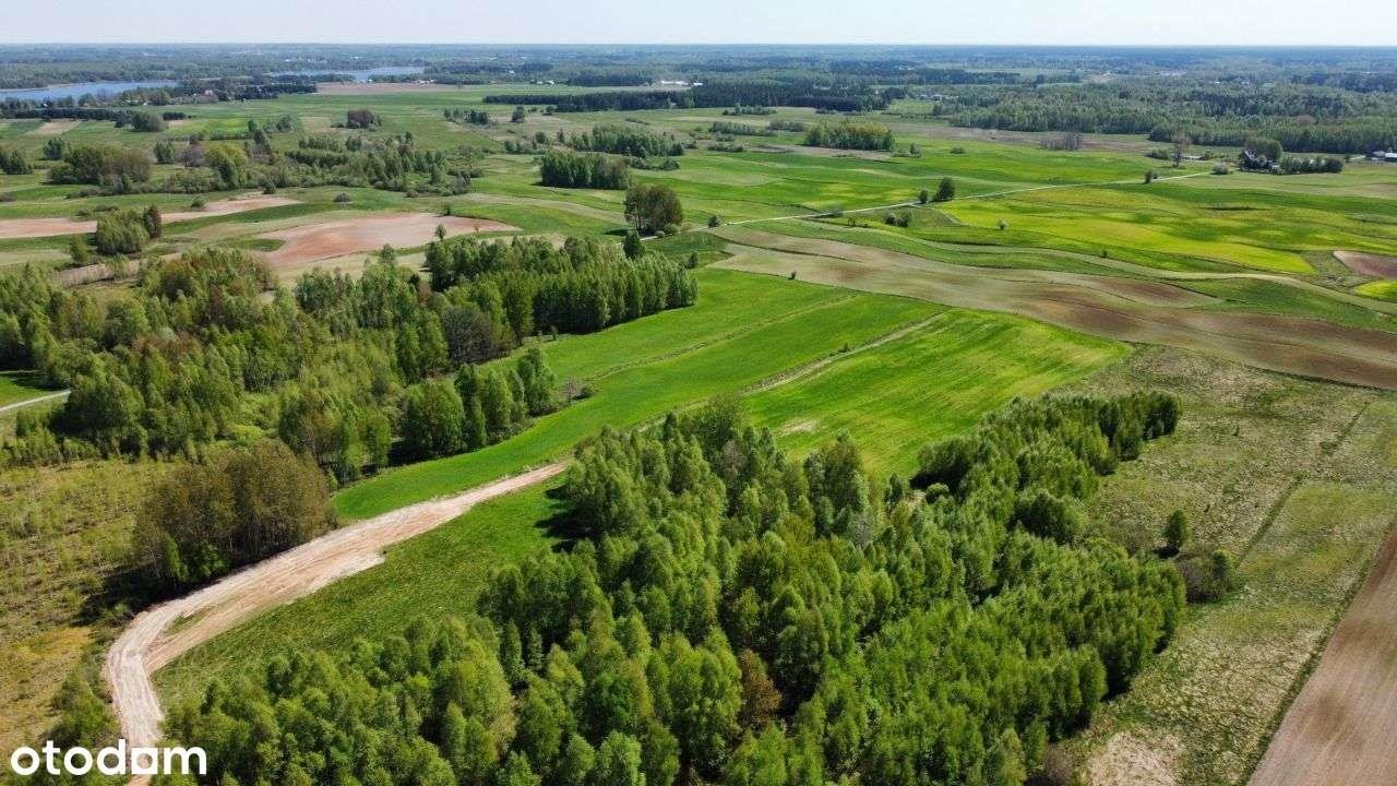 Działka rolna na sprzedaż Krasnopol  3 000m2 Foto 3