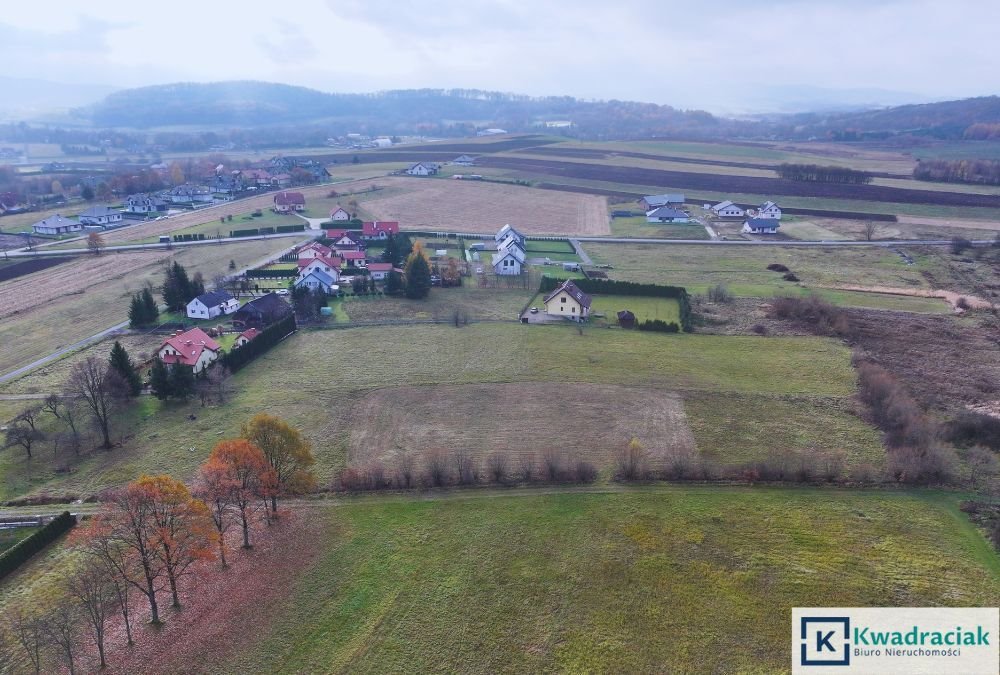 Działka budowlana na sprzedaż Czerteż  1 490m2 Foto 3