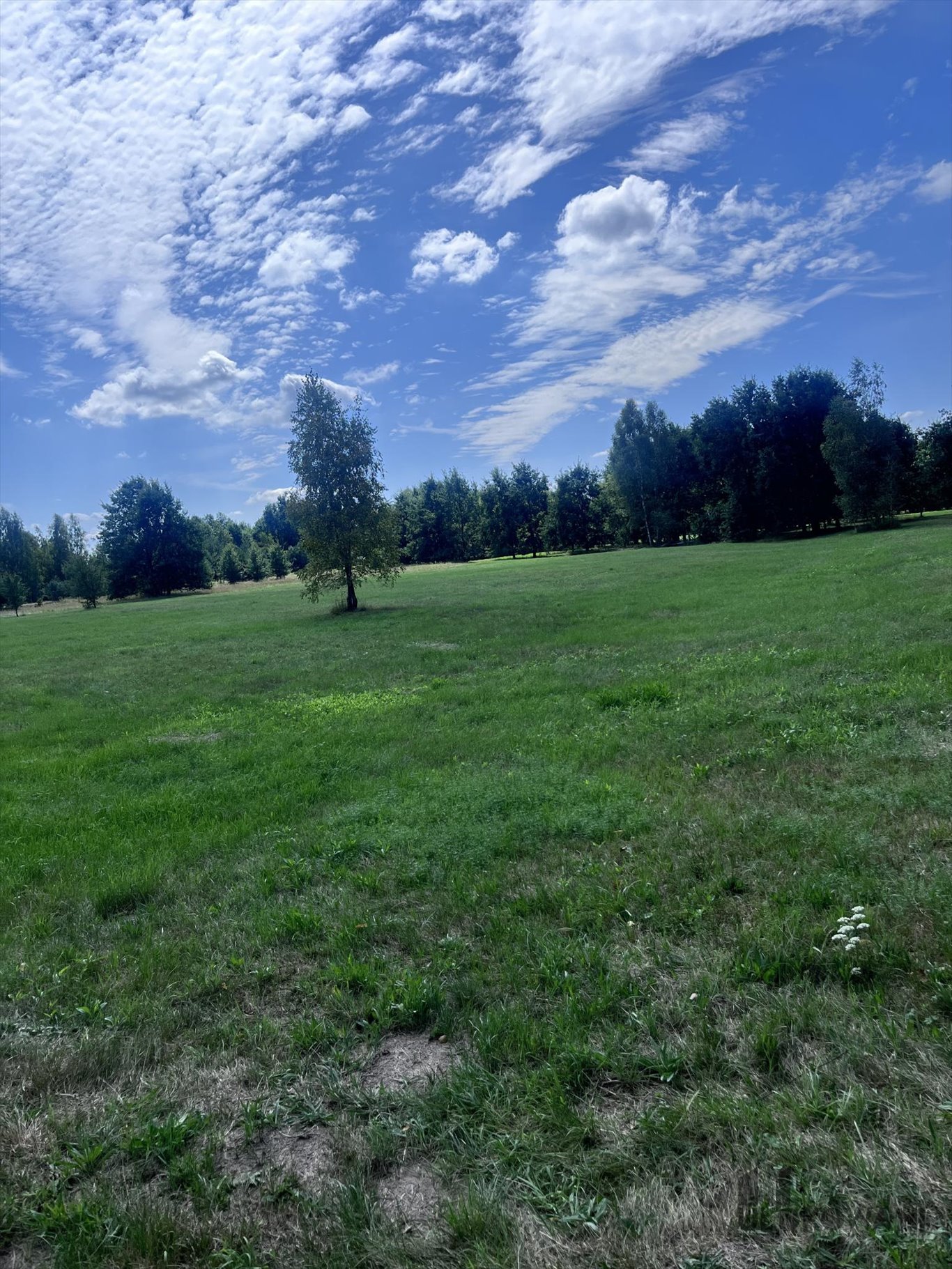 Działka budowlana na sprzedaż Stanisławów, Stanisławów, 95/4  4 000m2 Foto 3