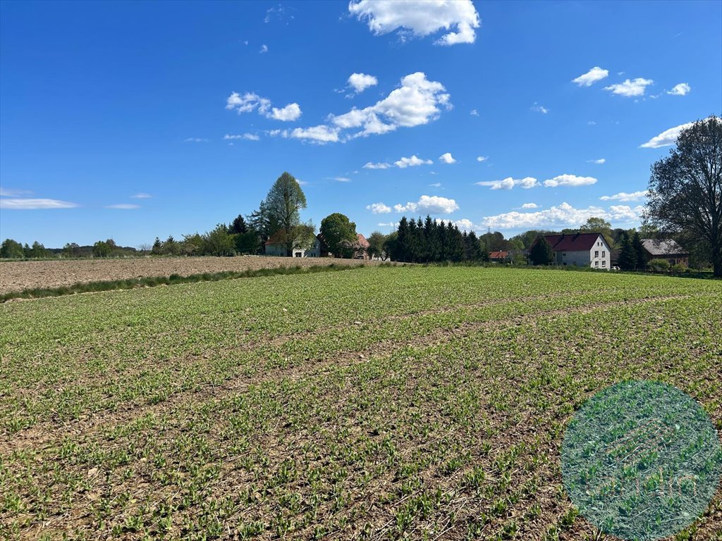 Działka budowlana na sprzedaż Rudzica  900m2 Foto 2