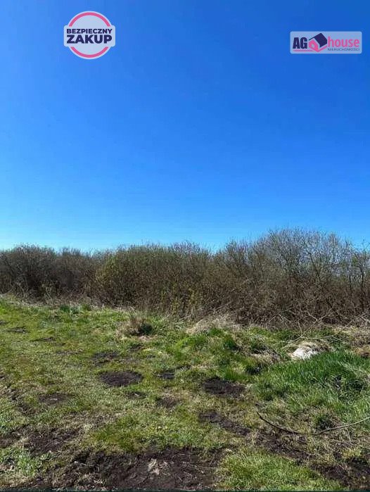 Działka siedliskowa na sprzedaż Połczyno  3 000m2 Foto 1