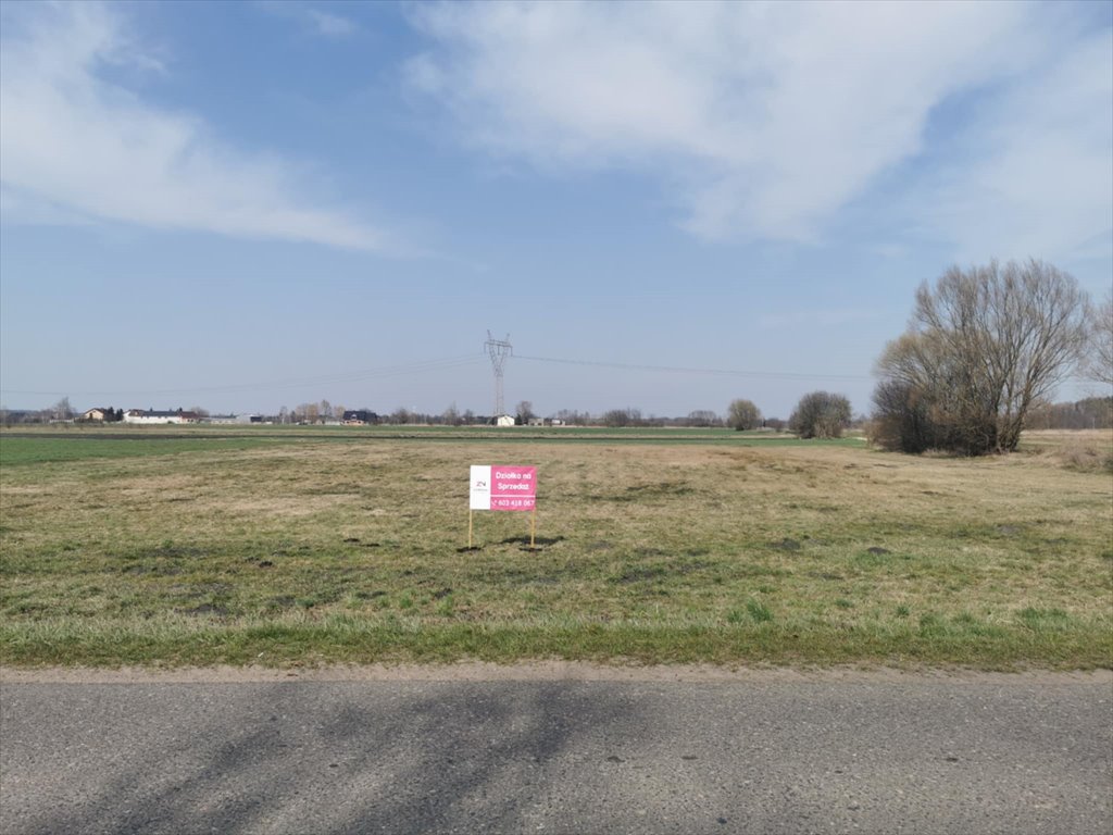 Duża działka 56 ar w Wyszynie, cisza i natura Wyszyna, Wyszyna, Dojazdowa  5 600m2 Foto 1