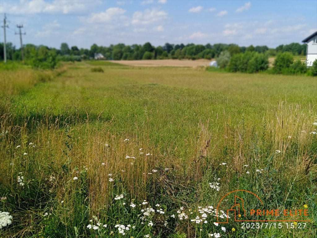 Działka przemysłowo-handlowa na sprzedaż Janów  9 810m2 Foto 1