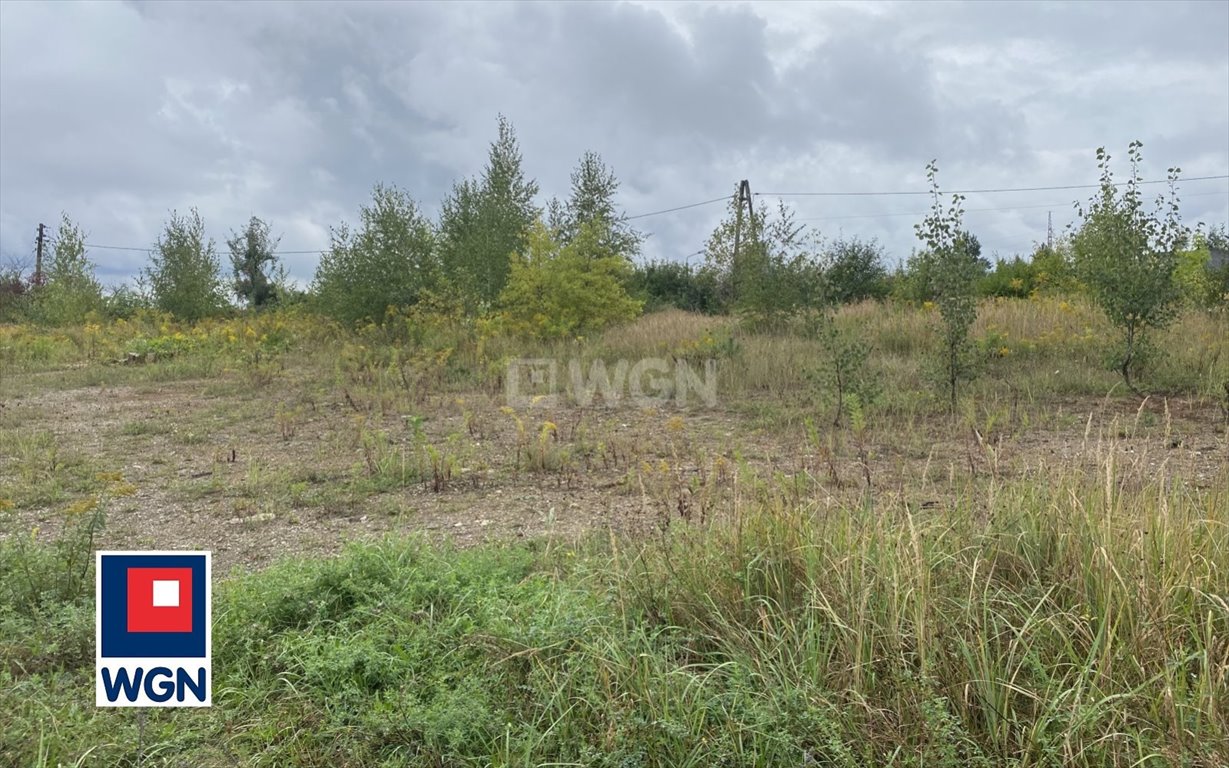 Działka inwestycyjna na sprzedaż Trzebinia, okolice Górki  12 940m2 Foto 5