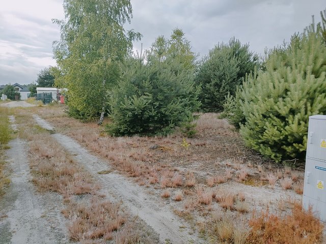 Działka budowlana na sprzedaż Zielona Góra  1 590m2 Foto 4