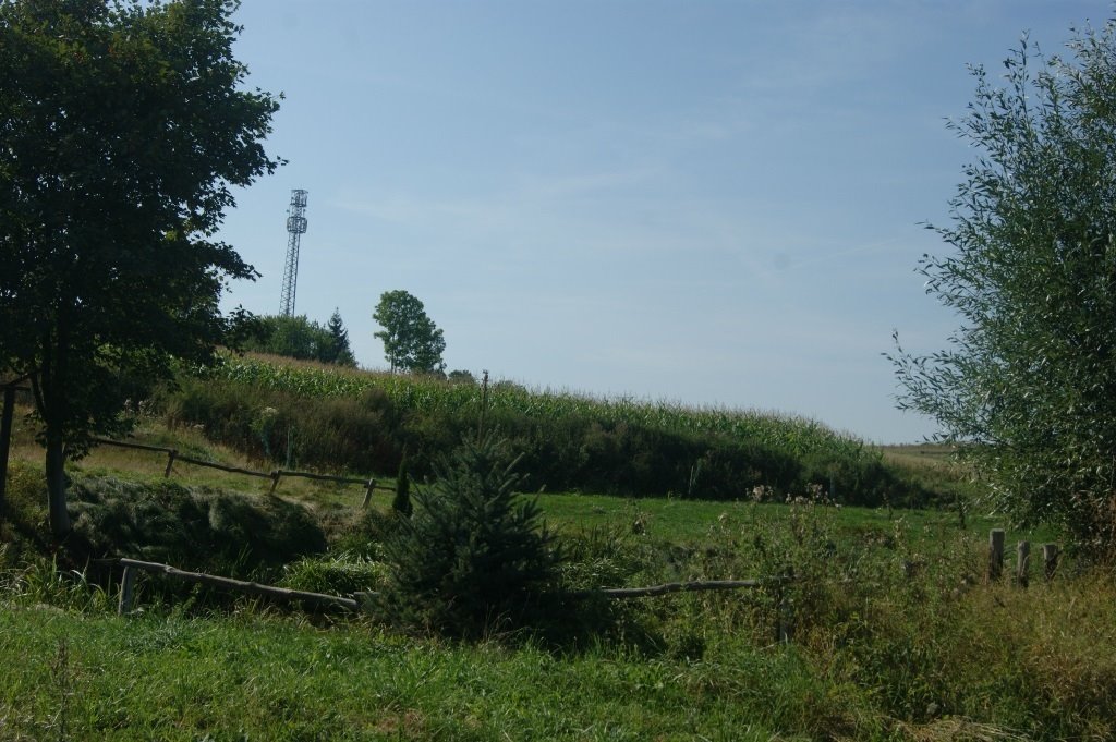 Działka inna na sprzedaż Stare Bogaczowice  1 000m2 Foto 16