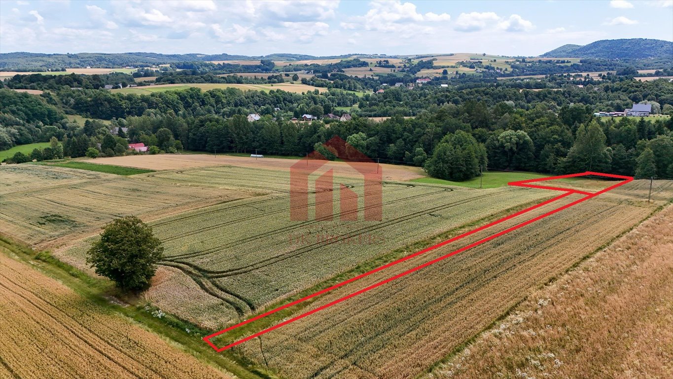 Działka 28 ar z widokiem na góry Chełm, las, media Brzeziny  2 800m2 Foto 1