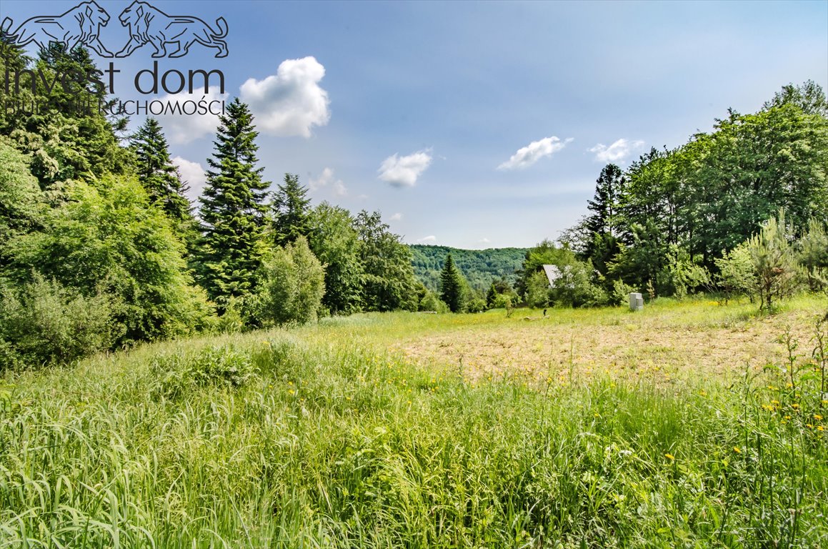 Działka budowlana na sprzedaż Wysowa-Zdrój  2 069m2 Foto 1