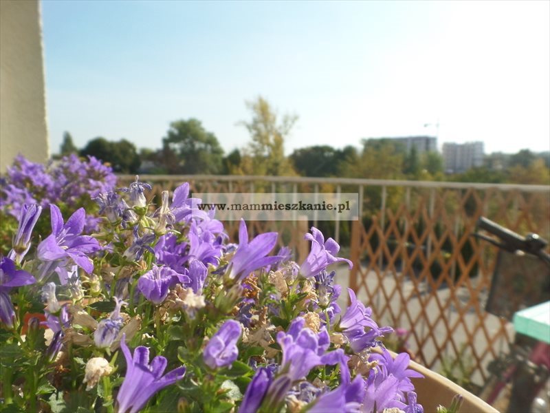 Mieszkanie trzypokojowe na sprzedaż Bydgoszcz, Fordon 58m2 Foto 1 Mieszkanie trzypokojowe na sprzedaż Bydgoszcz, Fordon 58m2 Foto 1