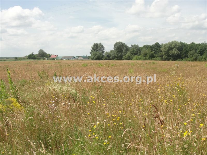 Działka rolna na sprzedaż Pawłówka 71 900m2 Foto 1 Działka rolna na sprzedaż Pawłówka 71 900m2 Foto 1