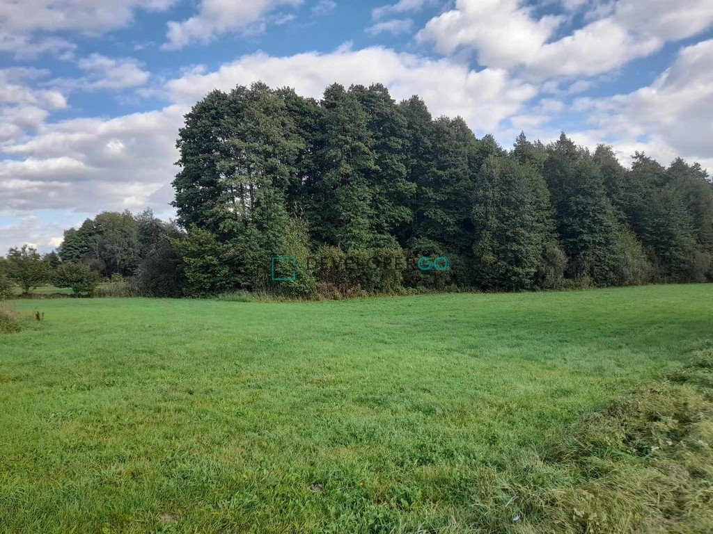 Działka rolna na sprzedaż Brzezienko  8 800m2 Foto 2