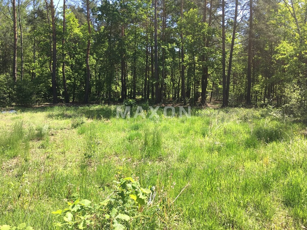 Działka leśna na sprzedaż Wiązowna  1 240m2 Foto 3