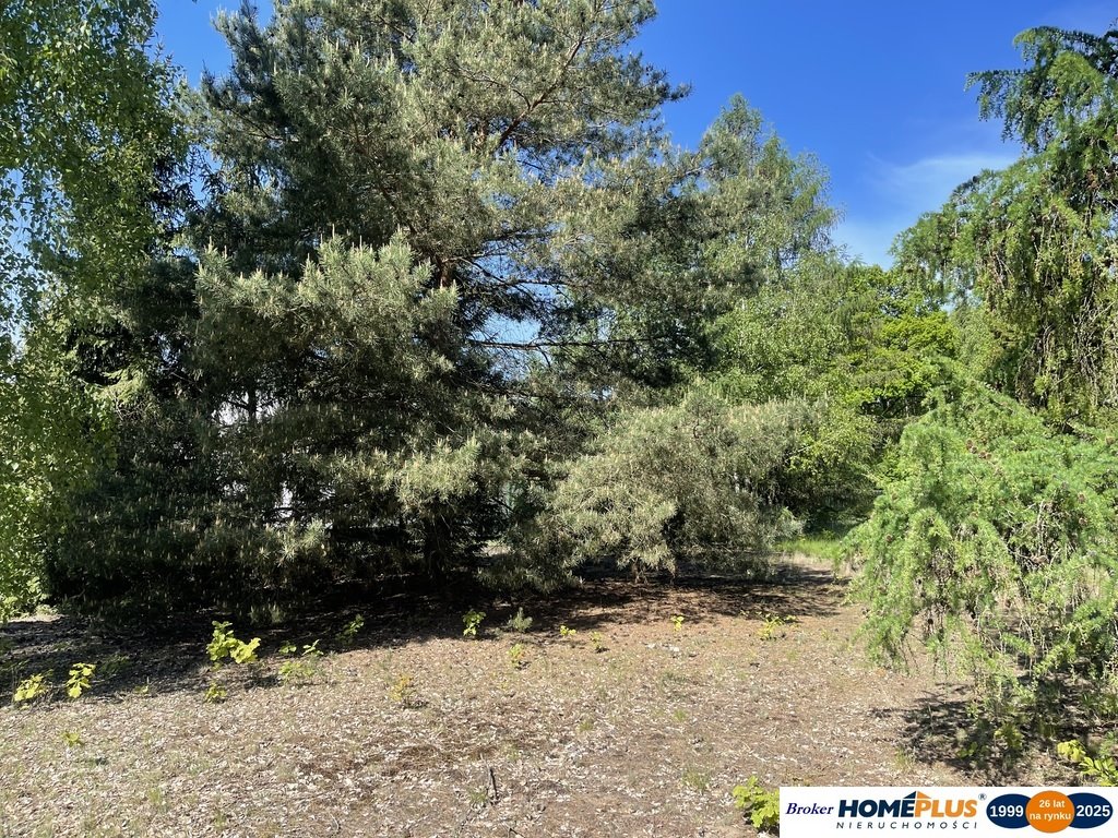 Działka budowlana na sprzedaż Arciechów  1 128m2 Foto 1