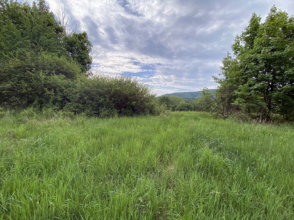 Działka budowlana na sprzedaż Ustroń, Ustroń, Jelenica  2 121m2 Foto 7