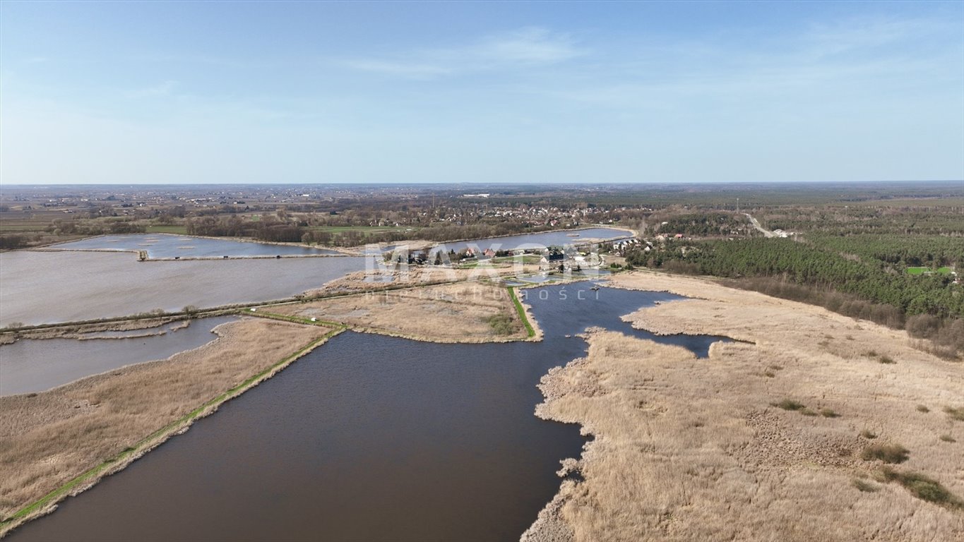 Działka budowlana na sprzedaż Wilga  9 027m2 Foto 6