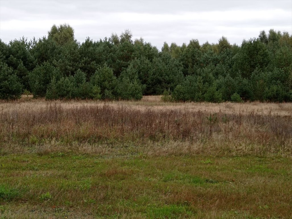 Działka budowlana na sprzedaż Koźle  3 167m2 Foto 8