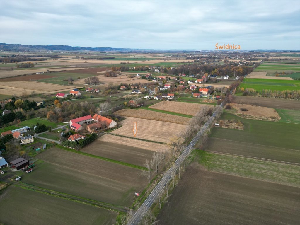 Nowizna – 1,6 ha, cena niższa o 318 tys. zł. Nowizna  16 043m2 Foto 1