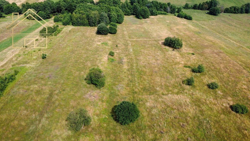 Działka rolna na sprzedaż Łężyny  1 500m2 Foto 2