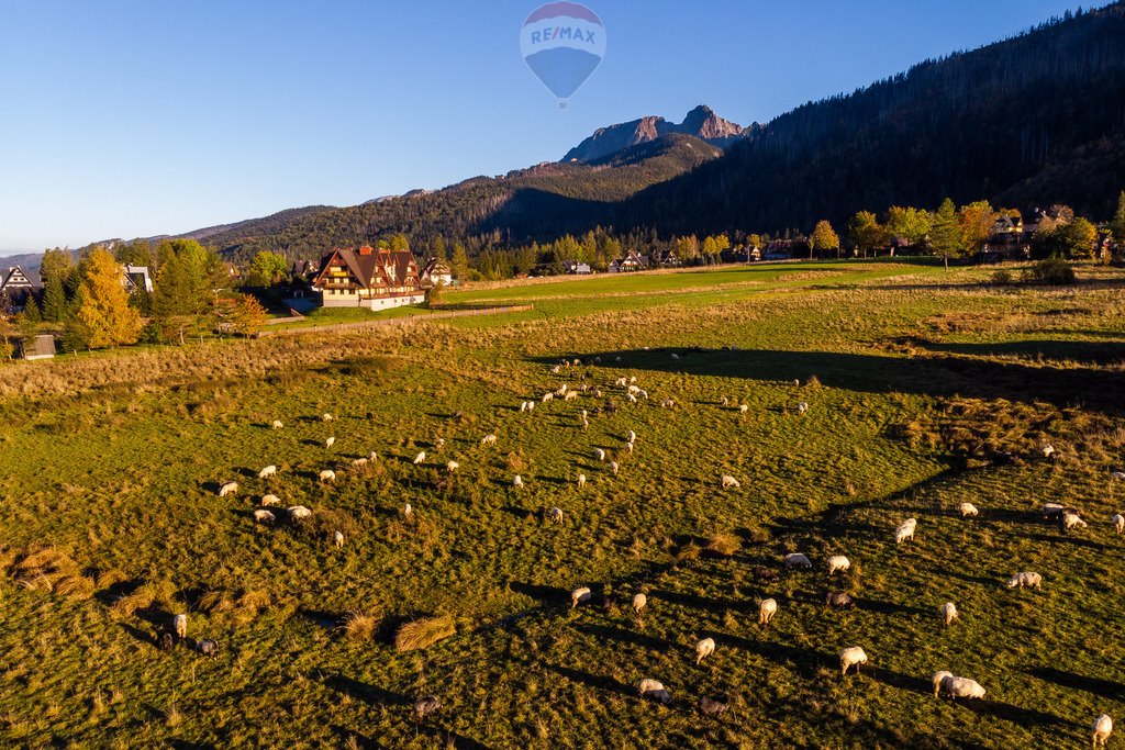 Działka rolna na sprzedaż Kościelisko  2 957m2 Foto 19