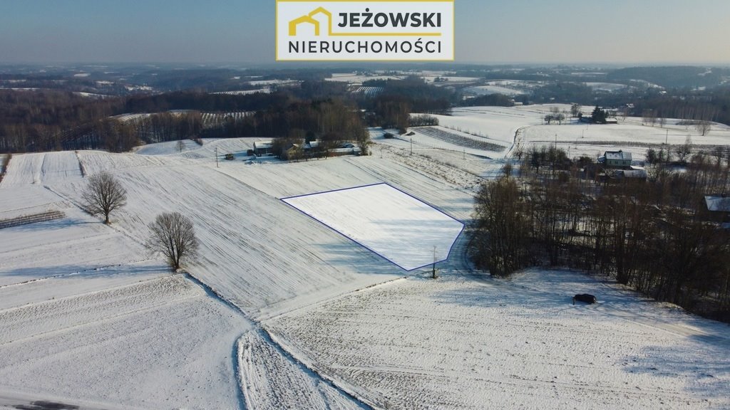 Działka rolna na sprzedaż Wierzchoniów  4 400m2 Foto 6