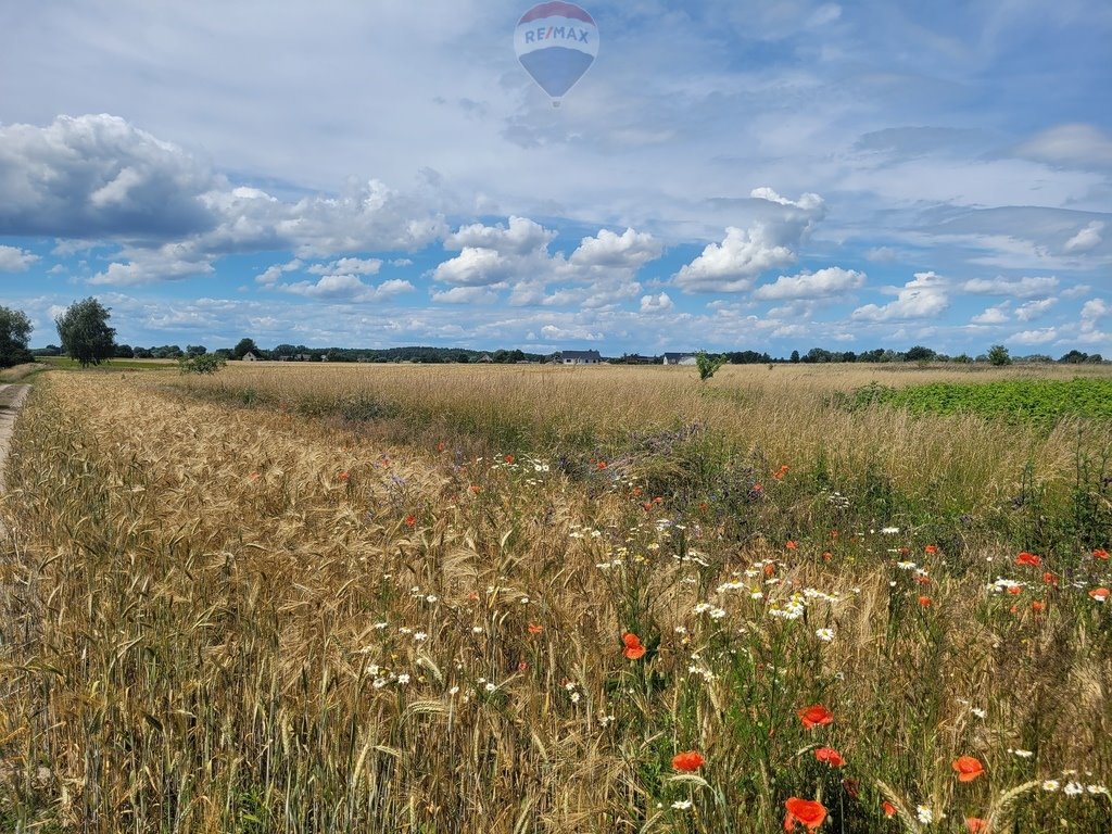 Działka budowlana na sprzedaż Grzebienisko, Szamotulska  1 005m2 Foto 2