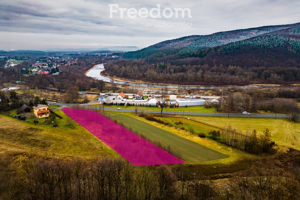 Działka komercyjna na sprzedaż Gorzeń Górny  3 867m2 Foto 5