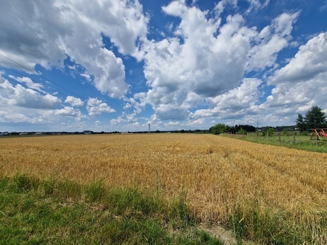 Działka budowlana na sprzedaż Orzesze, Gardawice  1 175m2 Foto 4