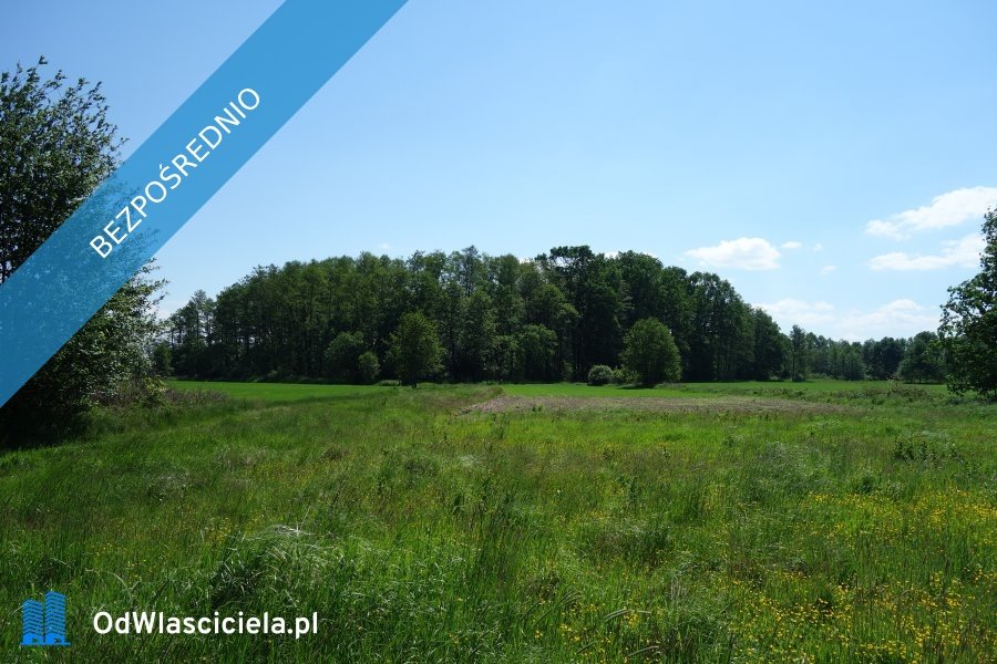 Działka rolna na sprzedaż Skoczów  5 700m2 Foto 5