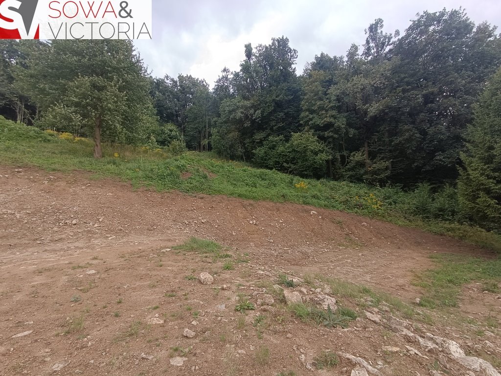 Działka budowlana na sprzedaż Dziećmorowice  6 052m2 Foto 6