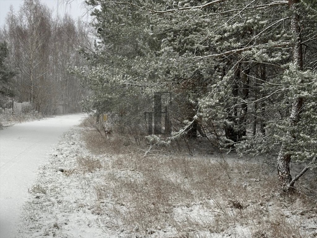 Działka budowlana na sprzedaż Rozalin  1 500m2 Foto 1