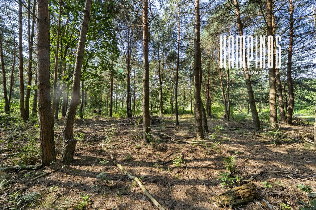 Zapraszam do zakupu działki 2633 m² pod dom rezydencjonalny Hornówek  2 633m2 Foto 1