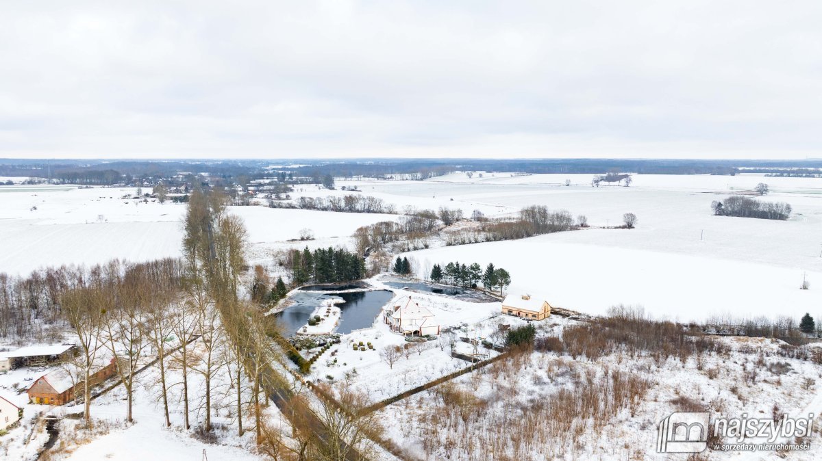 Działka rolna na sprzedaż Jenikowo  19 000m2 Foto 8