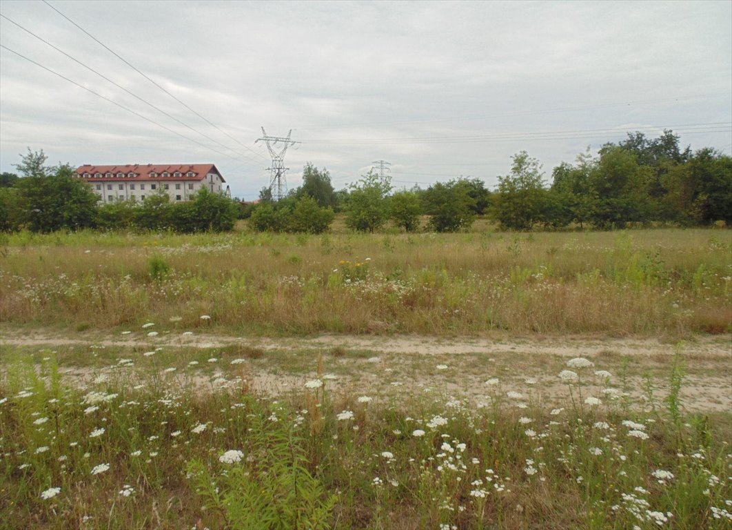 Działka budowlana na sprzedaż Łódź, Górna, Kolumny 314  3 000m2 Foto 3