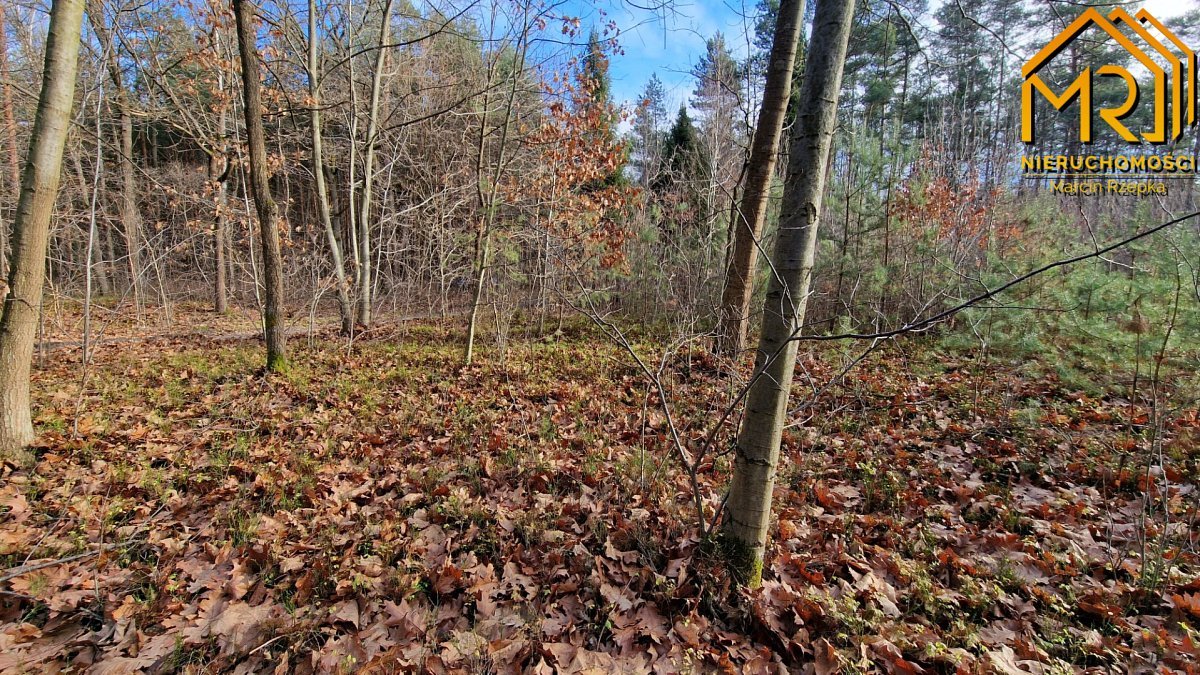 Działka rolna na sprzedaż Stare Żukowice  2 200m2 Foto 6