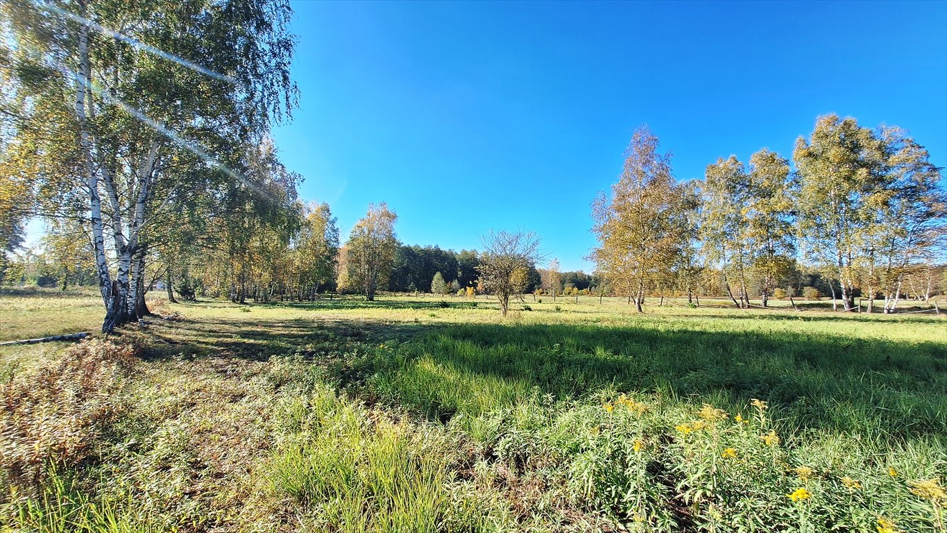 Działka budowlana na sprzedaż Łomianki, Łomianki, Dąbrowa, Prosta  1 101m2 Foto 6