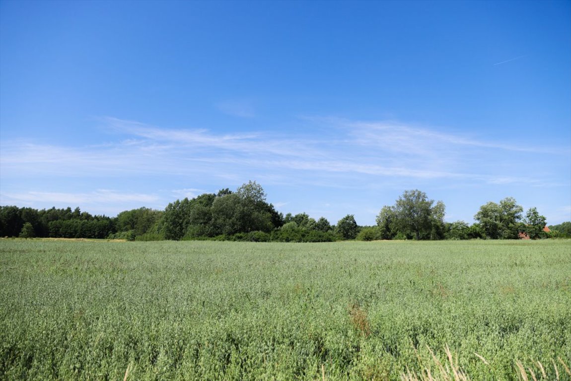 Działka siedliskowa na sprzedaż Stare Siedlisko  135 470m2 Foto 12